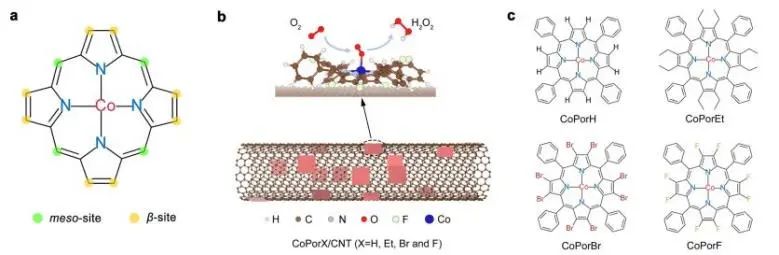 悉尼大學(xué)/日本東大EES：H2O2選擇性超90%! 多相分子Co-N-C催化劑實(shí)現(xiàn)高效電化學(xué)合成H2O2