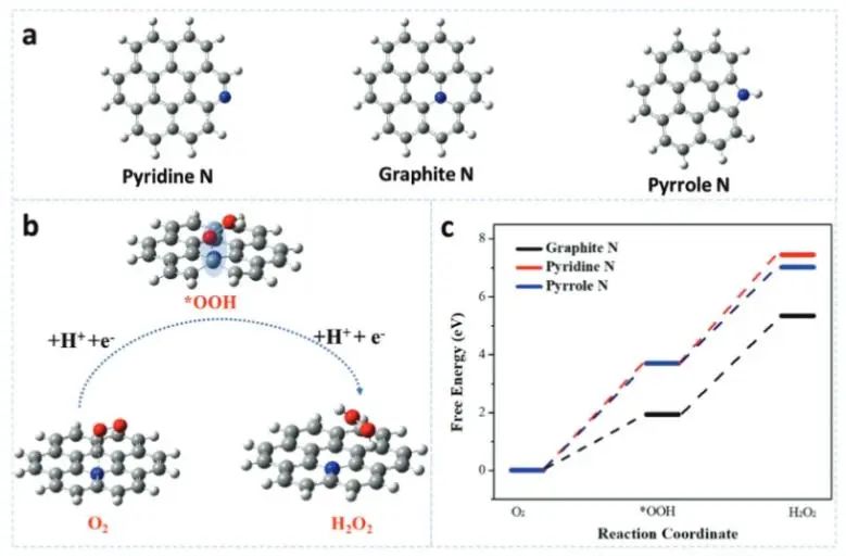 侯保榮/段繼周/張瑞永Adv. Sci.：調節N-Cx中的氮形態，實現模擬海水中高效合成H2O2