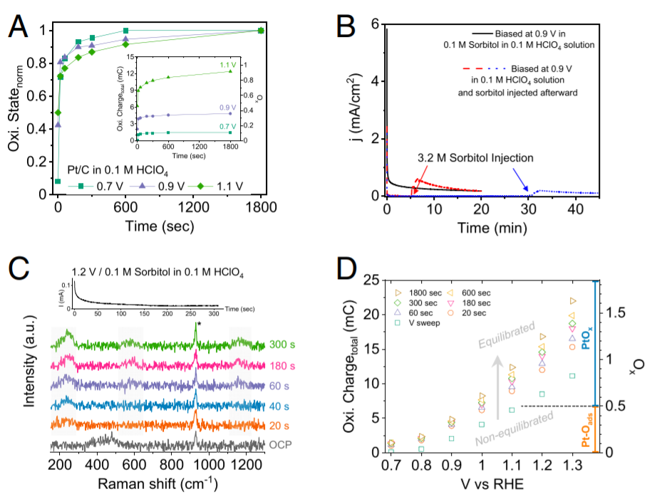 PNAS：電催化新概念！電位循環(huán)，產(chǎn)物蹭蹭蹭往上漲！