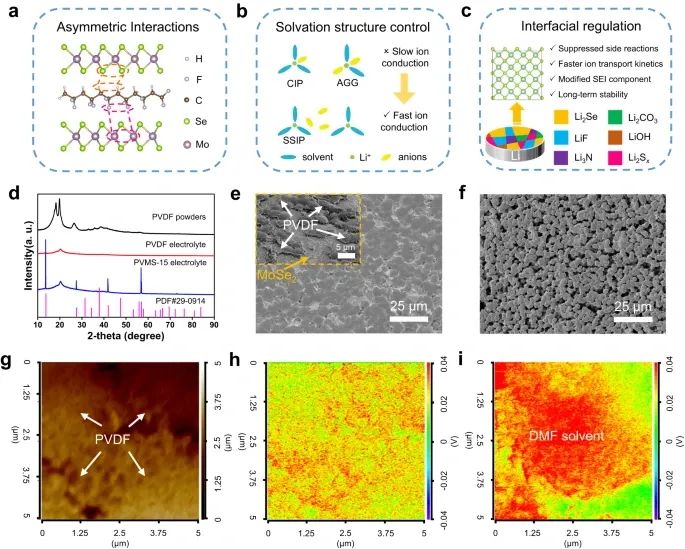 浙大陸盈盈，最新Nature子刊！