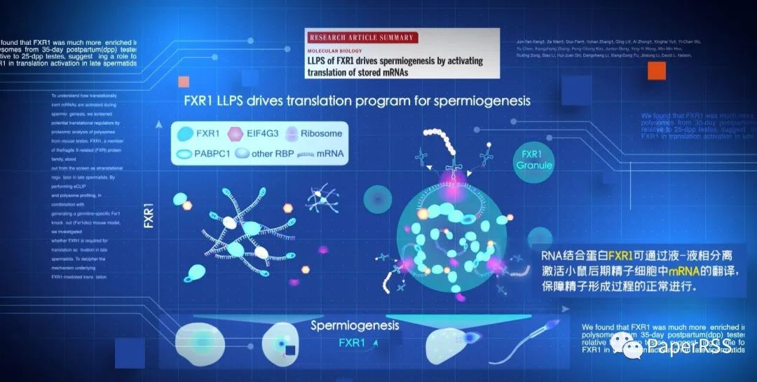 院士點贊：不唯經費不唯論文！登上Science的她，7年帶領7位博士，回答一個重要問題