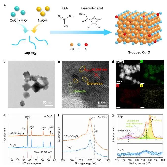 計算成果，8篇頂刊：Nature子刊、Angew、JACS、EES、AM、AFM等！