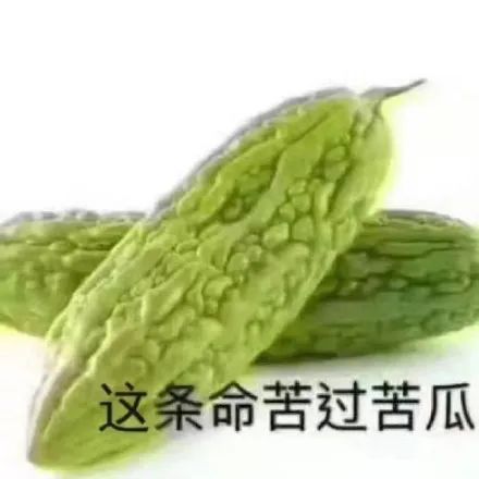 別再說我“論文灌水”了！！我也不容易啊