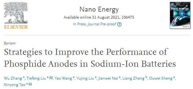 浙工大陶新永/劉鐵峰Nano Energy：提高鈉離子電池磷化物負極性能的策略