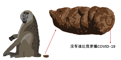 趣味頂刊，吃飯時間看！Nature：粑粑有益，Science：總統易忘！