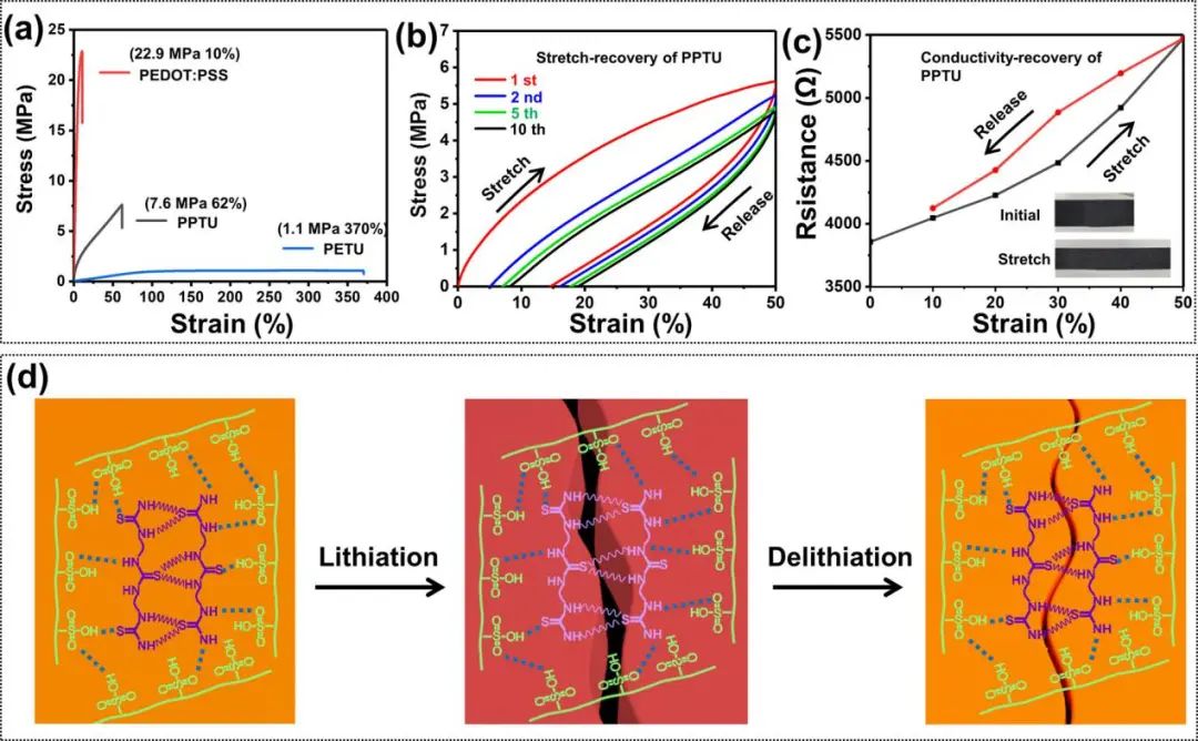 袁帥/呂盈盈ACS Nano: 用于高性能鋰離子電池的高導電性、彈性和自愈性聚合物粘結劑