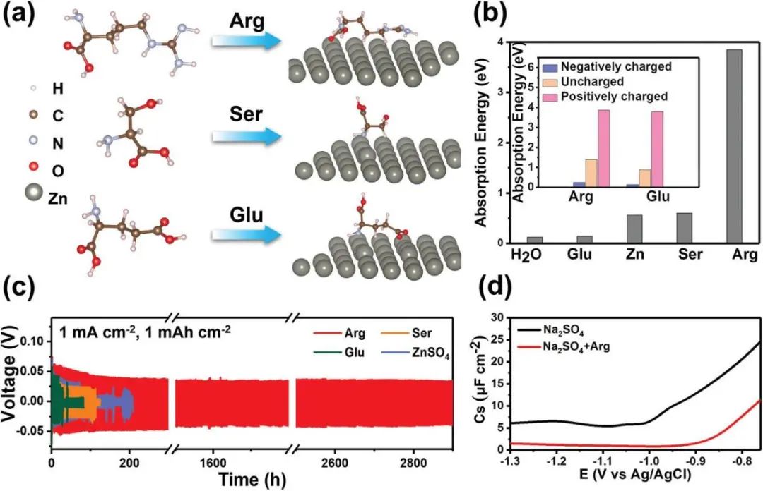 電池頂刊集錦：EES、AEM、AFM、Adv. Sci.、EnSM、Small等最新成果