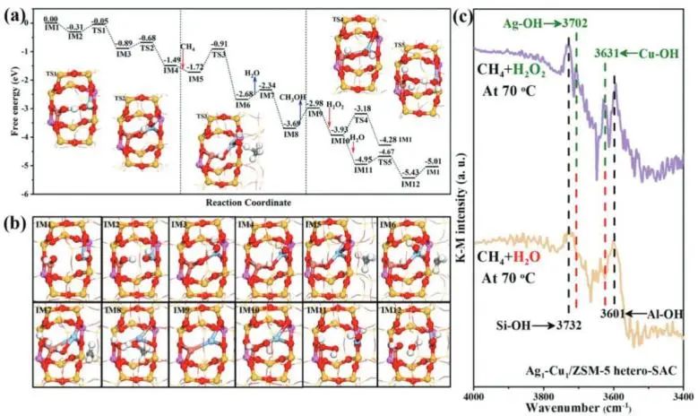 催化頂刊集錦：JACS、Nature子刊、EES、ACS Catal.、Adv. Sci.等