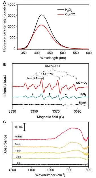 催化頂刊集錦：JACS、Nature子刊、Adv. Sci.、Nano Energy、ACS Nano等