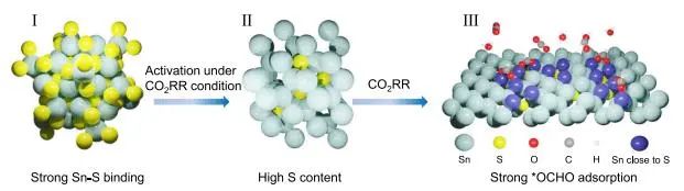 喬世璋?Nature子刊：電化學活化π-SnS催化劑，實現工業電流下酸性CO2-HCOOH電解