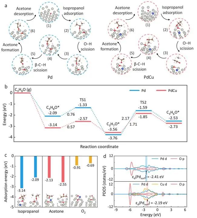 催化頂刊集錦：JACS、Nat. Commun.、ACS Catal.、AFM、ACS Nano等成果