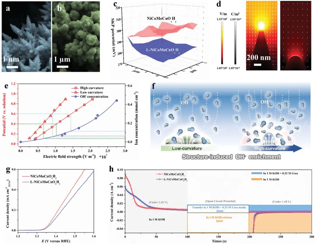 八篇催化頂刊：AM、AFM、EES、ACS Nano、Small、Appl. Catal. B等成果