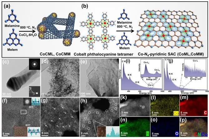 ?JACS：高分子輔助策略立大功！高密度鈷單原子催化劑強(qiáng)化析氧反應(yīng)活性