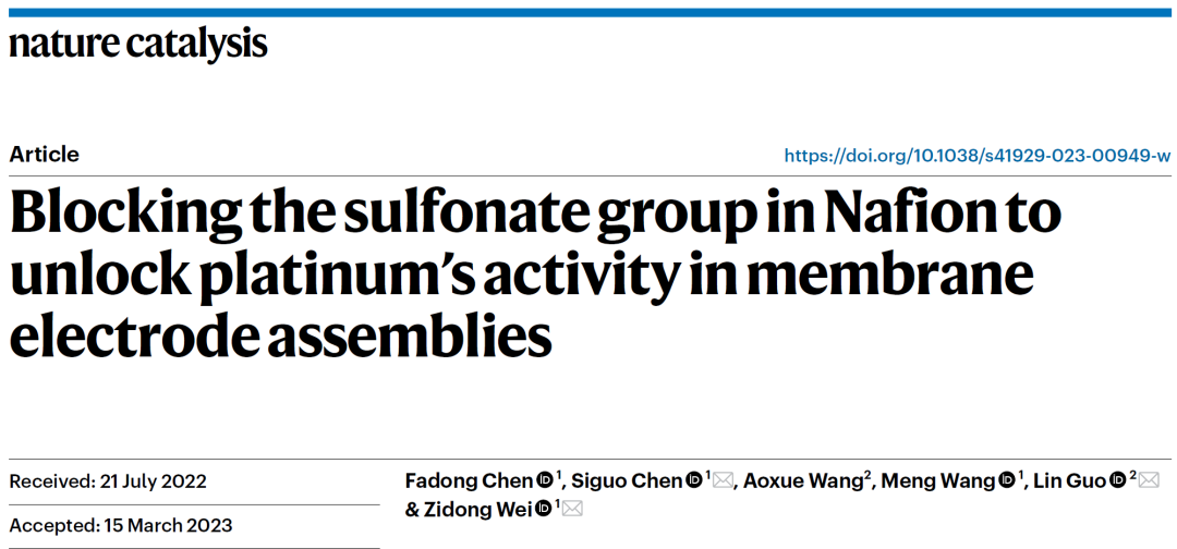 陳四國(guó)/魏子棟等，最新Nature Catalysis！