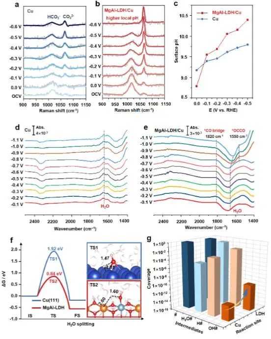 楊化桂/劉鵬飛Angew.：單層MgAl LDH調節反應微環境，促進中性介質CO2電還原為乙烯