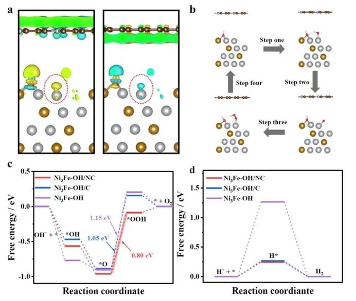催化頂刊集錦：JACS、ACS Catalysis、Small、JMCA、CEJ、Angew、Carbon Energy等成果