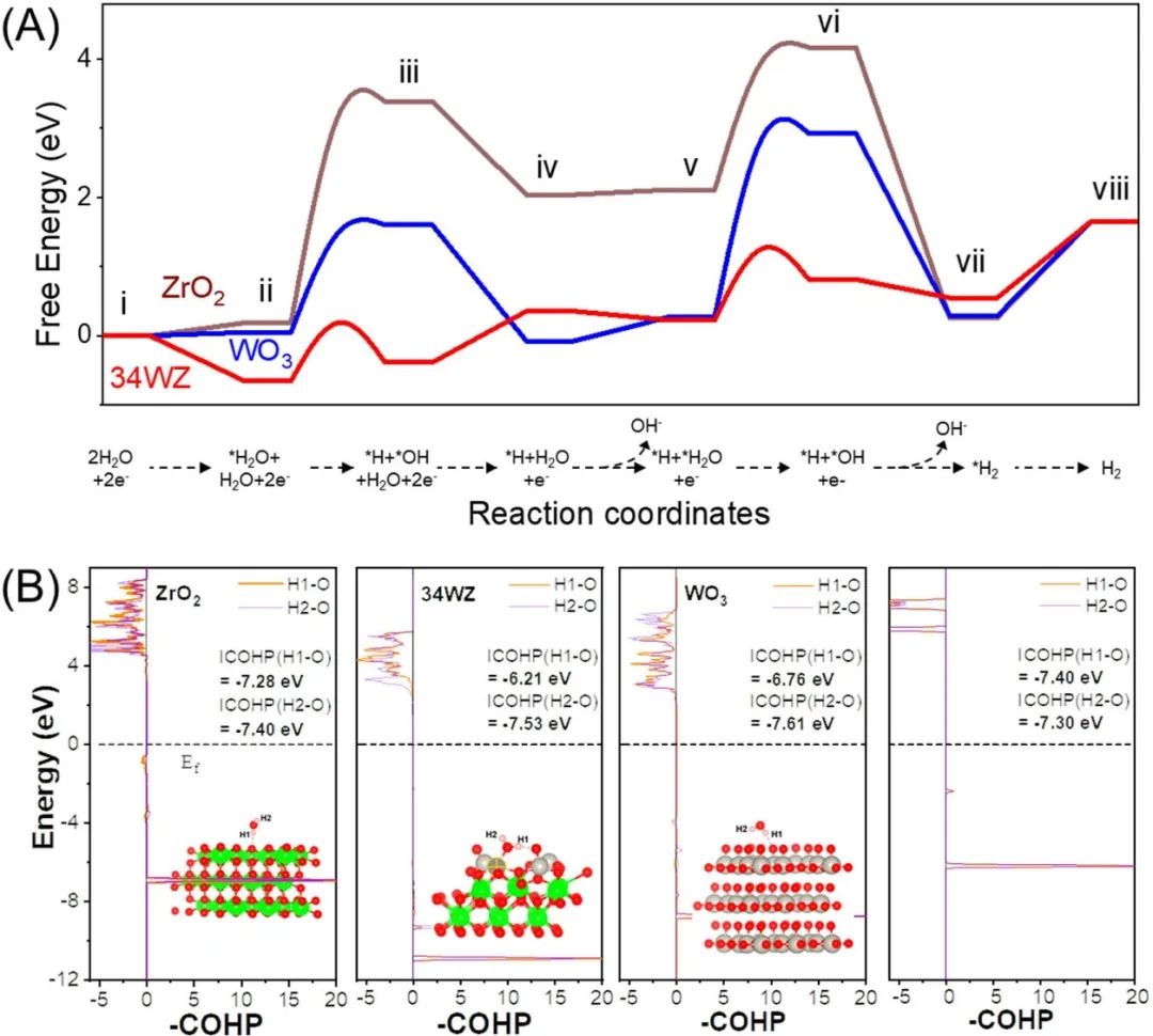催化頂刊集錦：JACS、ACS Catalysis、Small、JMCA、CEJ、Angew、Carbon Energy等成果