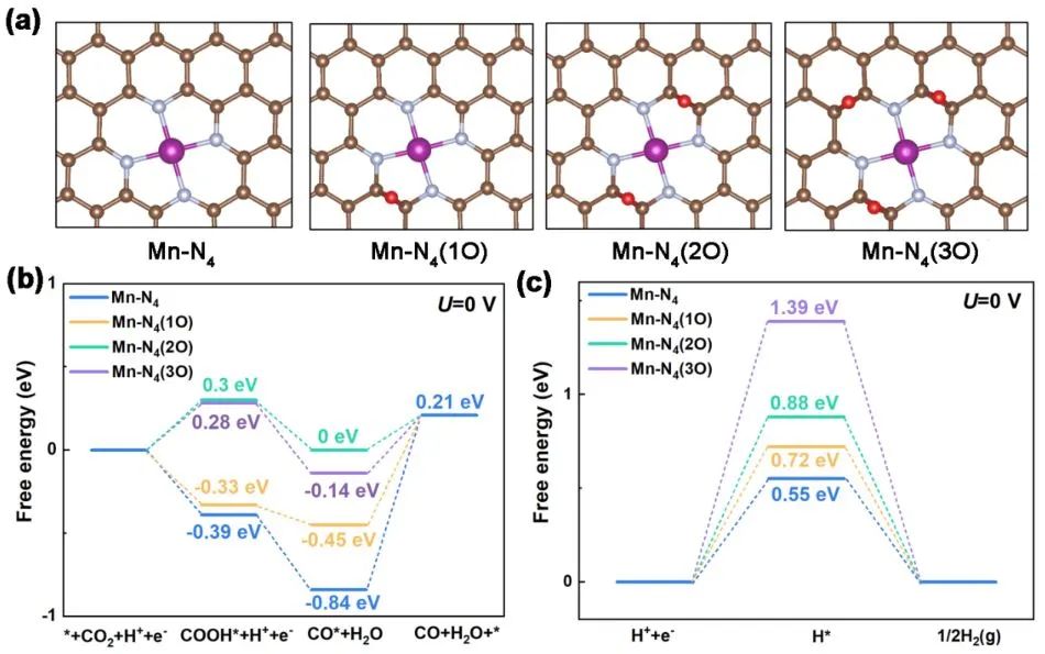 【計算+實驗】頂刊集錦：Angew、AM、AFM、Small、ACS Catalysis等成果精選