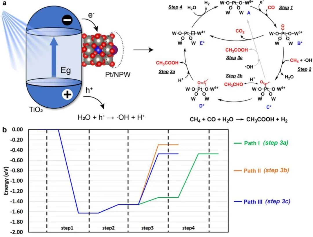 催化頂刊集錦：AFM、JACS、Adv. Sci.、ACS Nano、JMCA、CEJ等成果