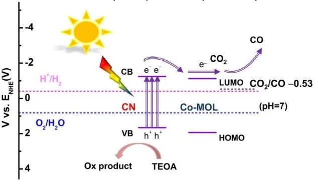 催化頂刊集錦：AFM、JACS、Adv. Sci.、ACS Nano、JMCA、CEJ等成果