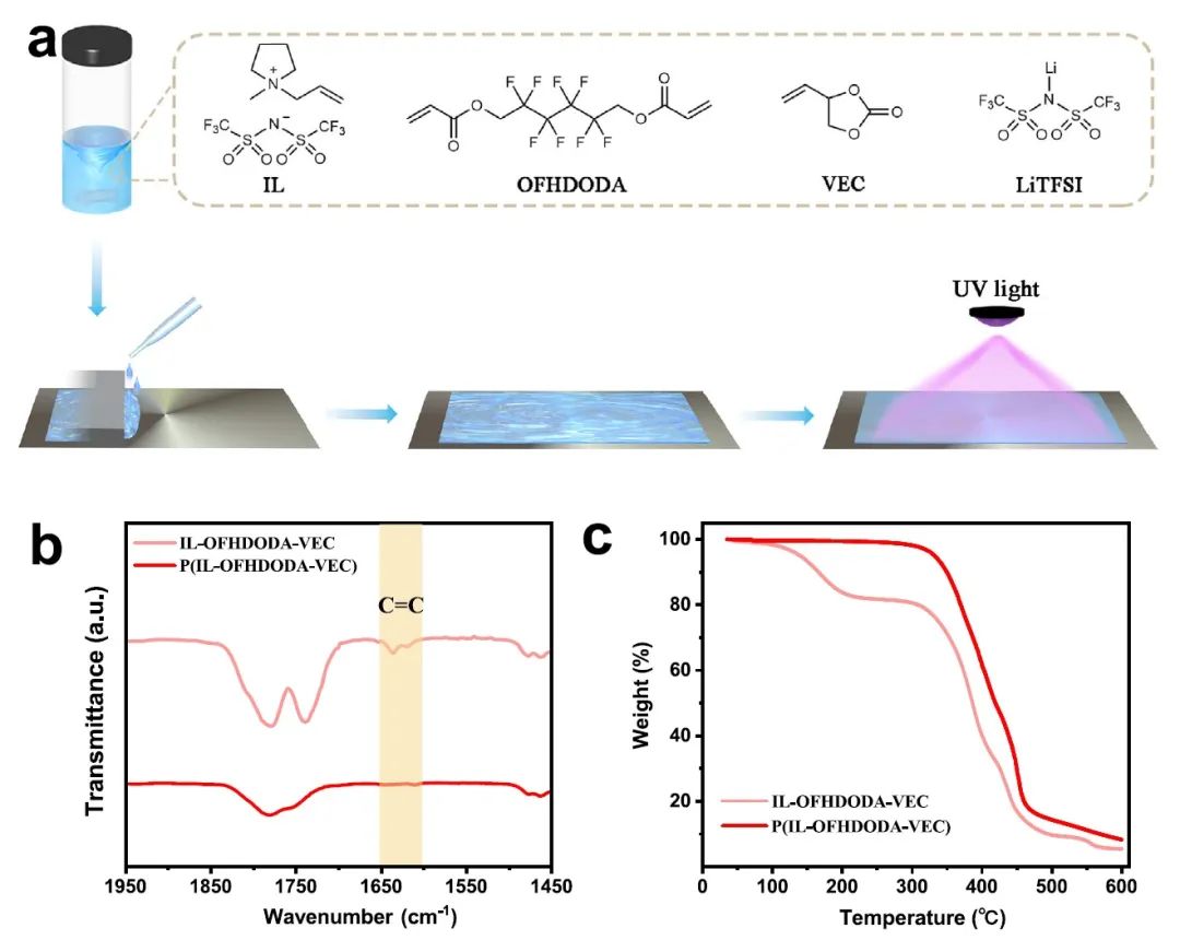陳琪/陳立桅Nature子刊：基于固態聚合物電解質的長循環4.5V鋰金屬電池