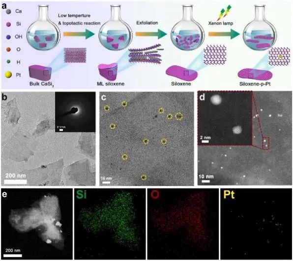 8篇催化頂刊：Angew.、Small、Nano-Micro Lett.、Appl. Catal. B.等成果