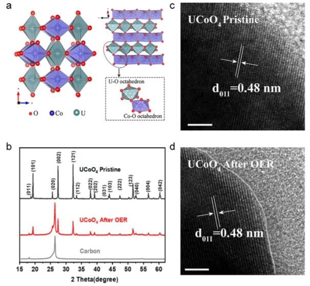 8篇催化頂刊：JACS、ML、JMCA、Small Methods、Small、Appl. Catal. B.等成果