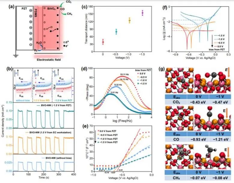 8篇催化頂刊：JACS、ML、JMCA、Small Methods、Small、Appl. Catal. B.等成果