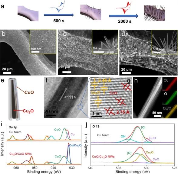 8篇催化頂刊：EES、Small、Adv. Sci.、JMCA、Nano Energy、Chem. Eng. J.等最新成果