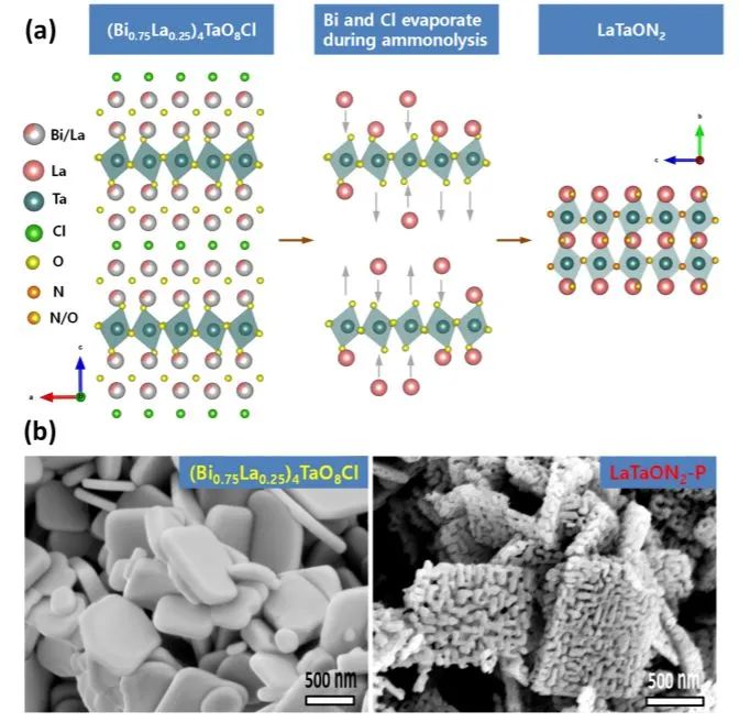 同濟徐曉翔ACS Nano: LaTaON2介孔單晶用于高效光催化水氧化和Z型全分解水