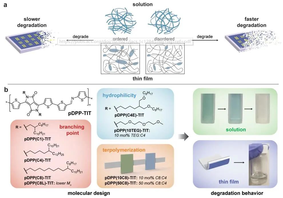 鮑哲南院士團隊，最新JACS！