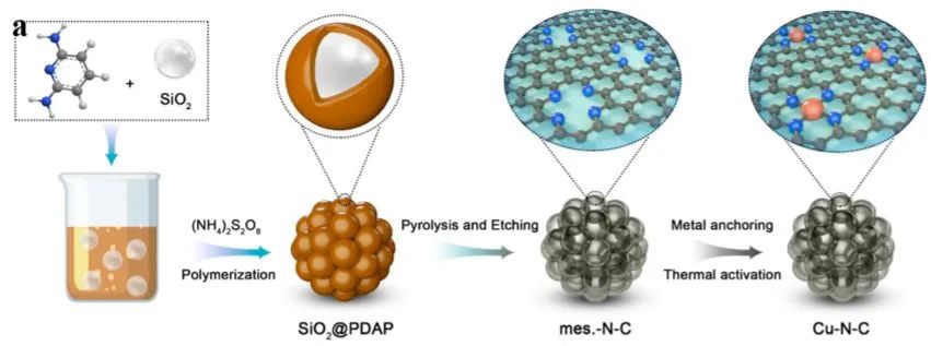 王愛琴/楊小峰/李劍鋒JACS: 單原子催化劑在電催化中的動態(tài)行為: 鑒定Cu-N3作為氧還原反應(yīng)的活性位點(diǎn)