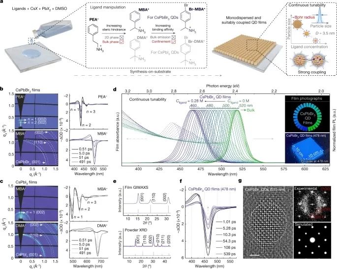 南開大學，最新Nature！