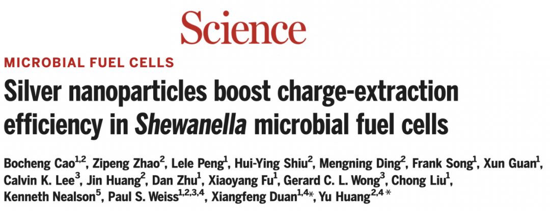 段鑲鋒/黃昱夫婦聯手發Science！