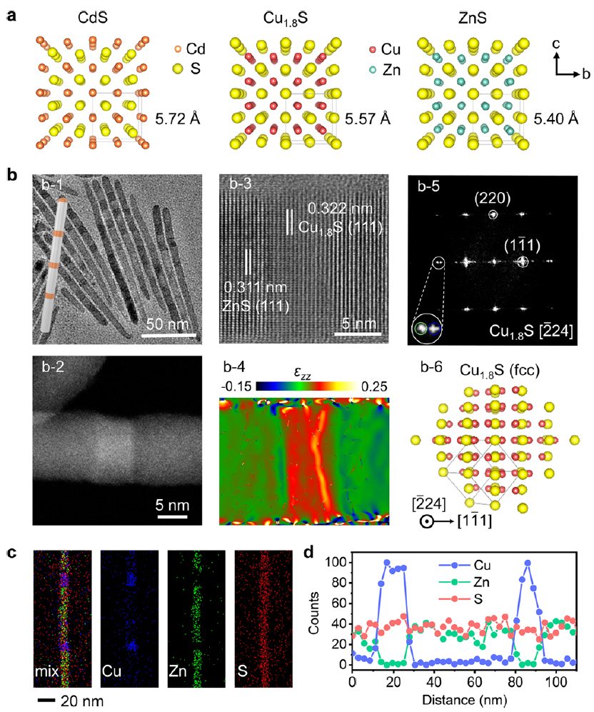 ?三摘國家自然科學(xué)二等獎，俞書宏院士最新JACS：合成一維超晶格納米線！