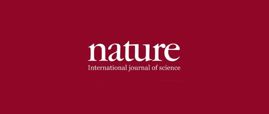 石墨烯，再次登頂Nature！