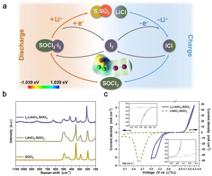 ?崔光磊/董杉木JACS：將Li-SOCl2電池轉化為高功率可充電系統