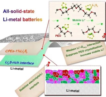 Goodenough&李玉濤等Angew: 用于全固態鋰金屬電池的Li2S6集成PEO基聚合物電解質