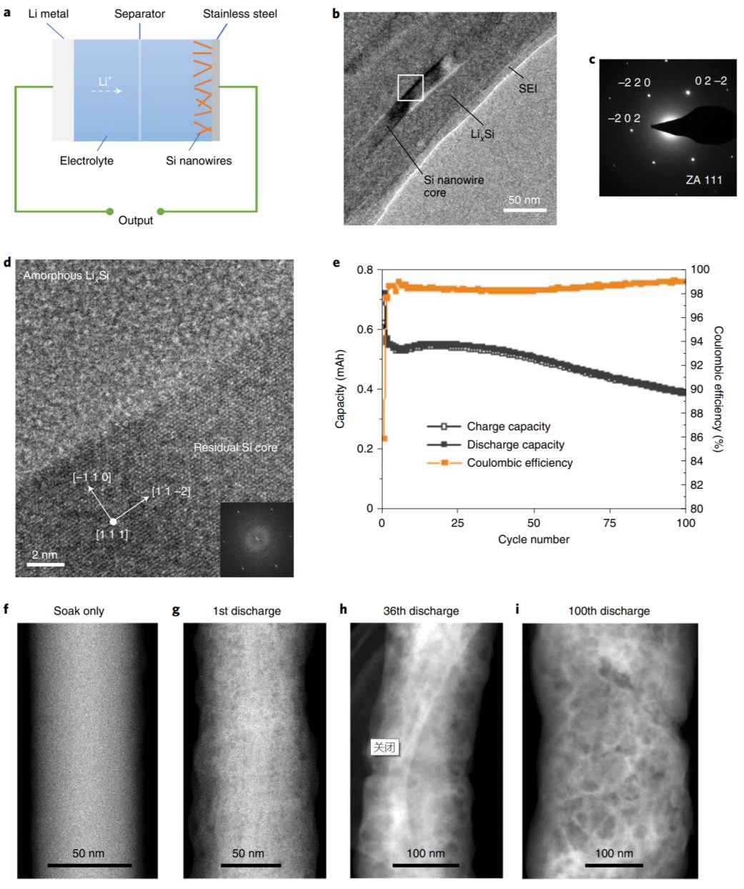 眼見為實！王崇民等人Nature Nanotechnology：冷凍電鏡揭示Si容量損失原因