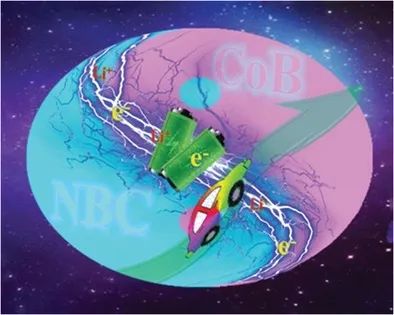 物構所王瑞虎AM: 同時提高鋰硫電池能量密度和壽命的親硫CoB異質結構納米片的界面電子工程