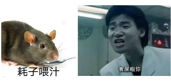 趣味頂刊，吃飯時間看！Nature：粑粑有益，Science：總統易忘！