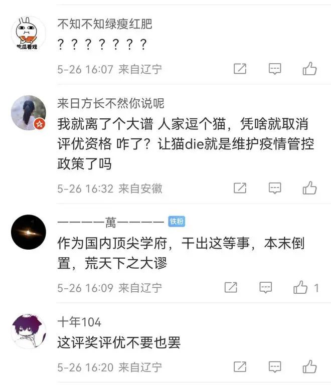 上海交大：博士研究生擅自逗貓，全校通報批評！取消全年評獎評優！