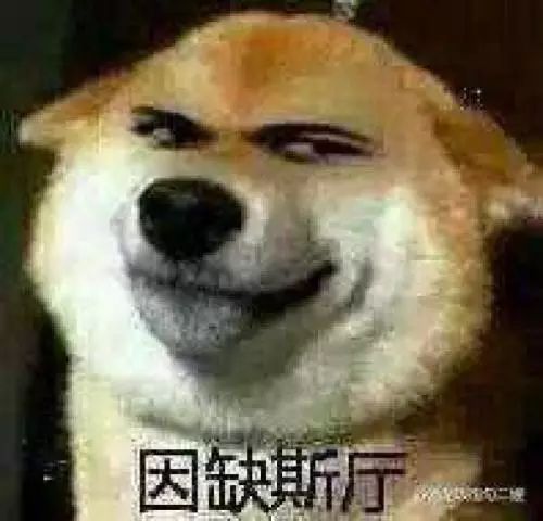 男博士勿入！當(dāng)代女博士迷惑行為大賞，哈哈哈哈哈……