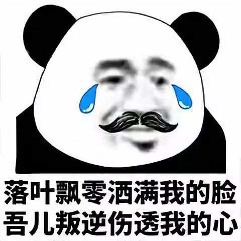 男博士勿入！當(dāng)代女博士迷惑行為大賞，哈哈哈哈哈……