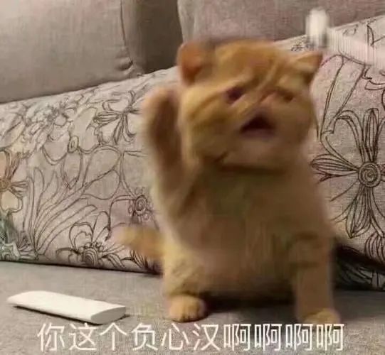 當(dāng)博導(dǎo)10年，我敢怒不敢言！