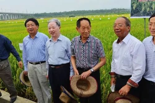 46歲新晉院士：給研究生的6個建議！