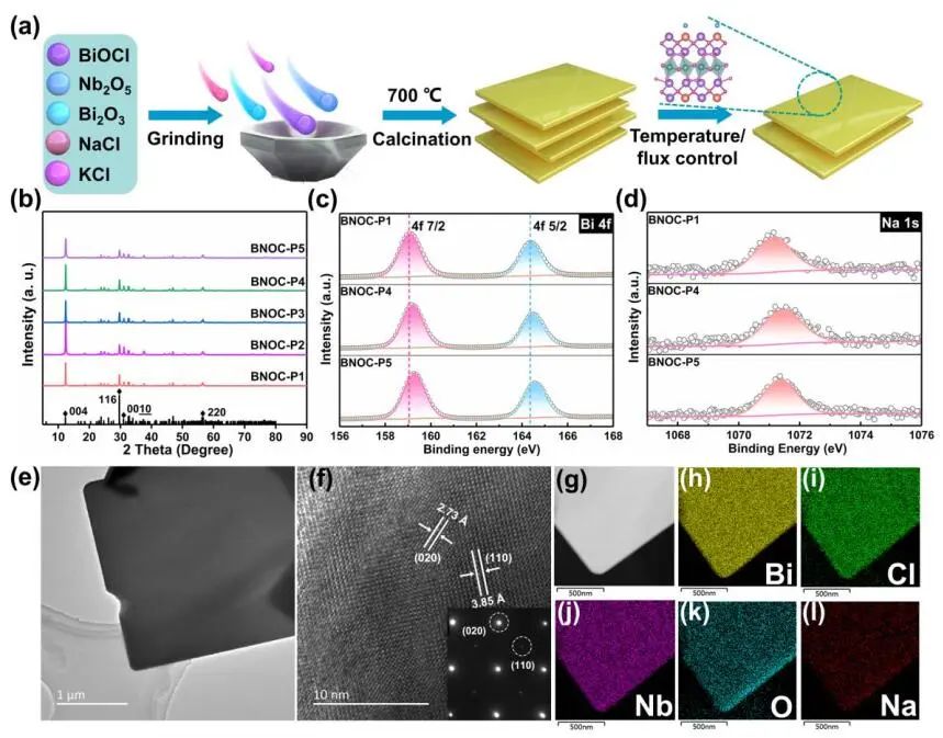 計算頂刊成果速遞：3篇Angew、2篇Nat. Commun.、JACS、AFM、Small等！