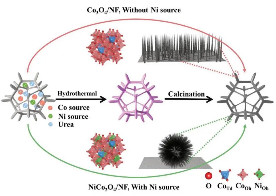 計算頂刊成果速遞：3篇Angew、2篇Nat. Commun.、JACS、AFM、Small等！
