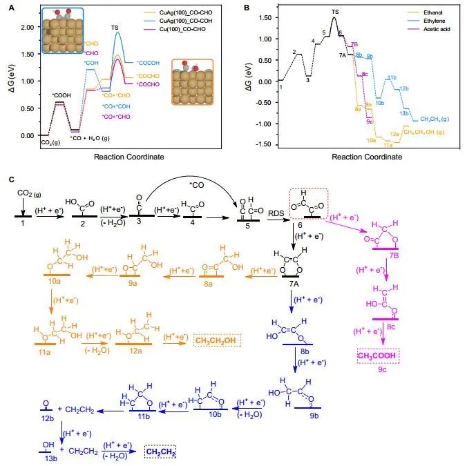計算頂刊成果速遞：3篇Angew、2篇Nat. Commun.、JACS、AFM、Small等！