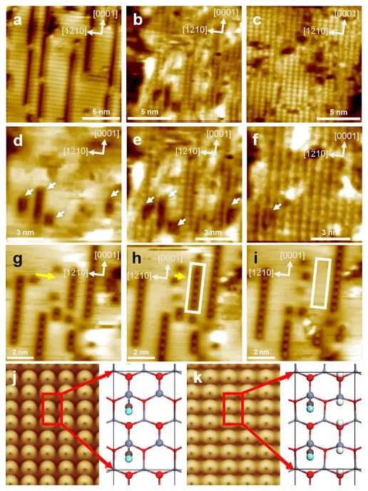 計算頂刊成果速遞：3篇Angew、2篇Nat. Commun.、JACS、AFM、Small等！